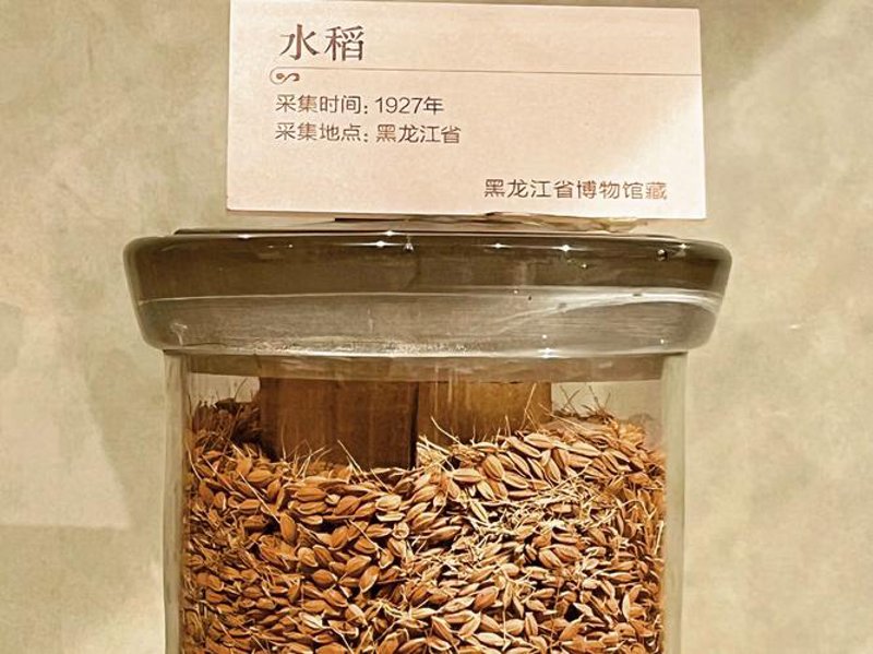 如何选择合适的种子批发商