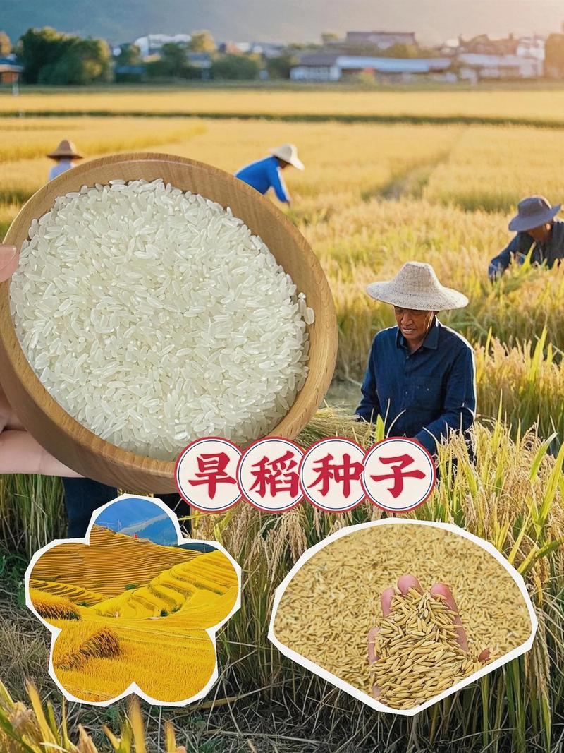 农药批发行业动态：一场农业技术的盛宴