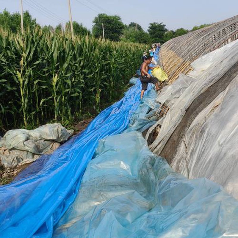 农药批发：选择合适的产品与供应商