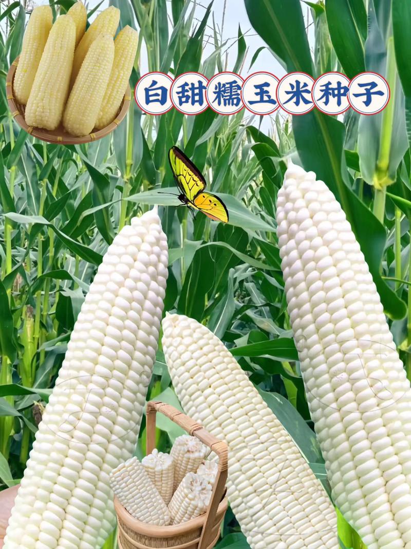 化肥批发行业中的几个使用技巧